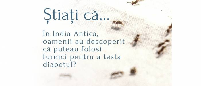 Știați că… în India Antică, oamenii au descoperit că puteau folosi furnici pentru a testa diabetul? 